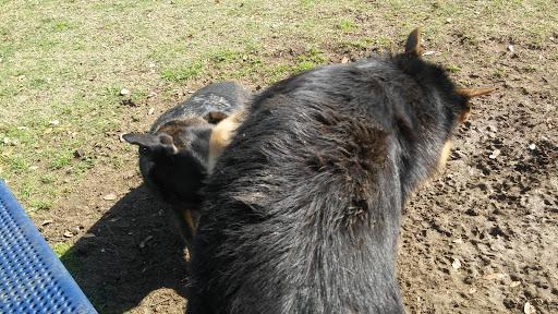 Recreation Center «Rosemeade Recreation Center», reviews and photos, 1330 E Rosemeade Pkwy, Carrollton, TX 75007, USA