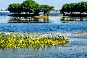 Vadhavana Lake and Bird Sanctuary image