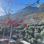 Photo n°5 de l'avis de Travelling.t fait le 06/01/2023 à 16:02 sur le  Panificio Eisenstecken à Kaltern an der Weinstraße