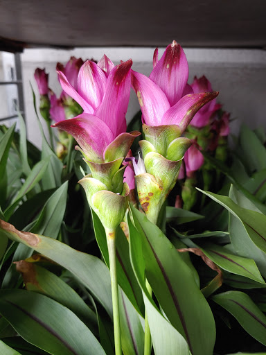 Department Store «Walmart Supercenter», reviews and photos, 41232 US-19, Tarpon Springs, FL 34689, USA