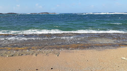 Playa de Vega Baja'in fotoğrafı vahşi alan
