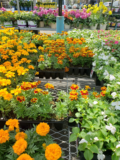 Home Improvement Store «The Home Depot», reviews and photos, 73-01 25th Ave, East Elmhurst, NY 11369, USA