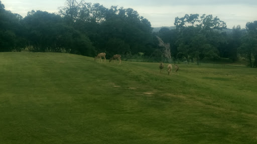 Golf Course «Chalk Mountain Golf Course», reviews and photos, 10000 El Bordo Ave, Atascadero, CA 93422, USA