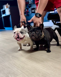 512 Pet Supply - Photo 3 - Car repair in Austin, TX, Austin