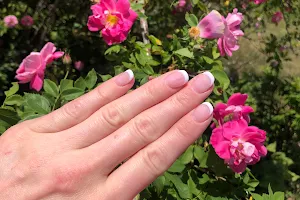 DS Nails & Spa image