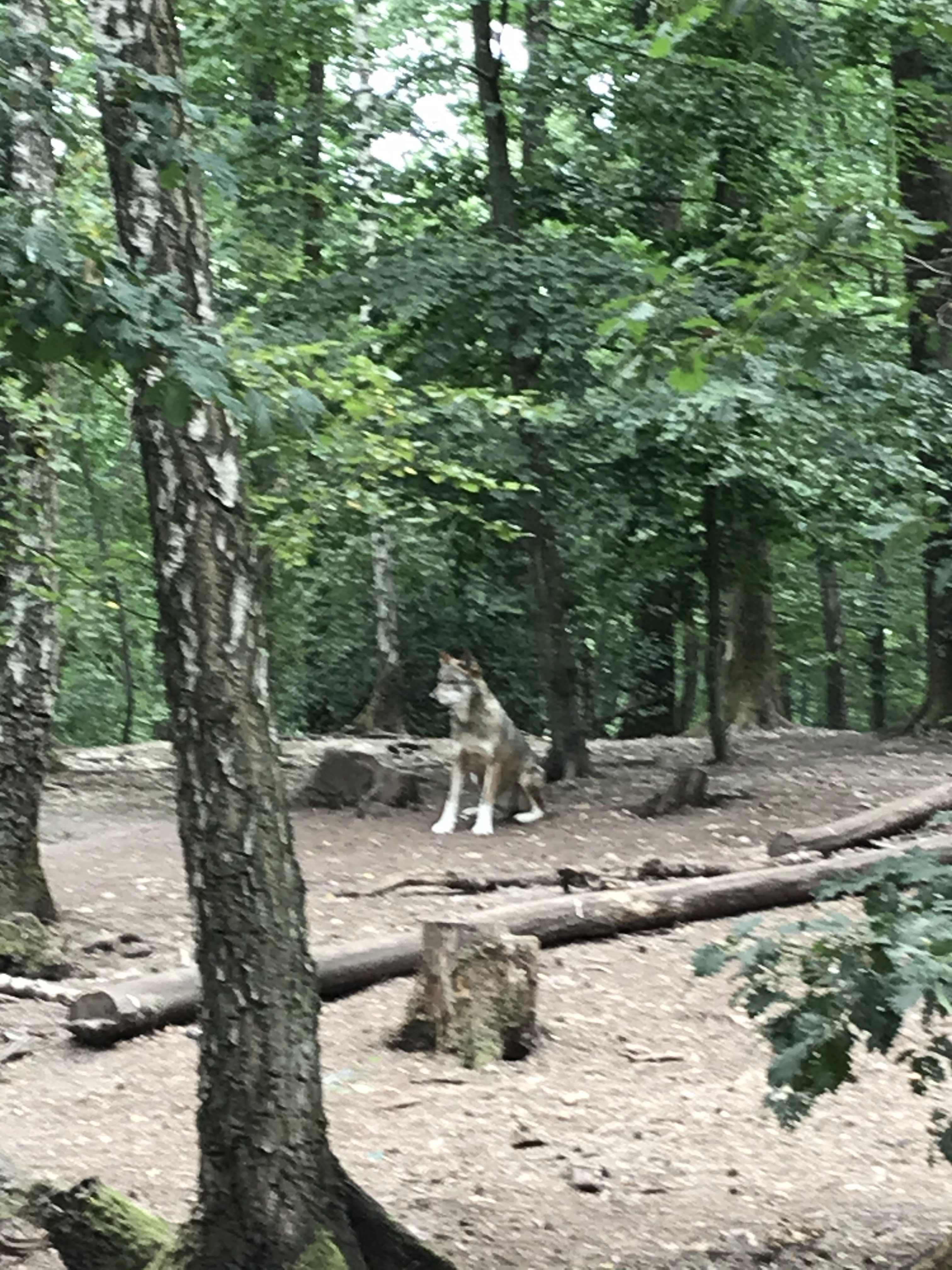 Photo n° 1 de l'avis de Meester.u fait le 25/07/2020 à 11:36