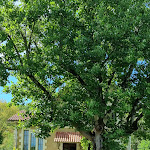 Photo n° 1 de l'avis de sylvia.a fait le 12/08/2023 à 17:29 pour Villa Léovil chambres d'hôtes à Saint-Pompont