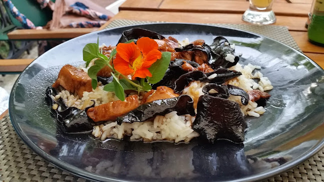 Restaurant Stil - Agent de catering