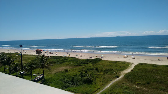海鸥海滩