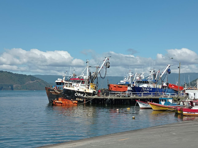 Opiniones de Transbordador Valdivia - Corral en Valdivia - Servicio de transporte