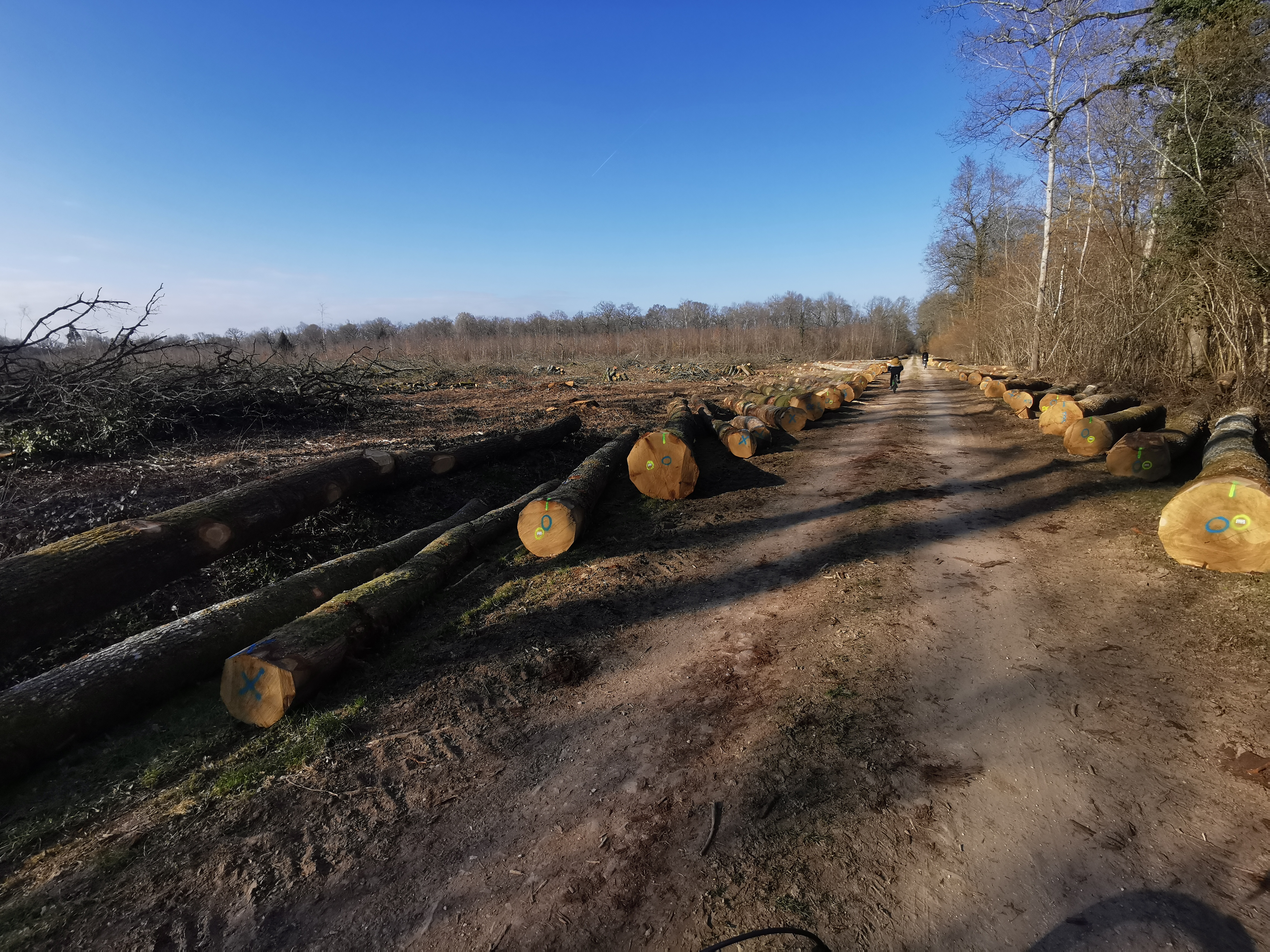 Photo n° 1 de l'avis de Cyril.e fait le 05/03/2023 à 17:41