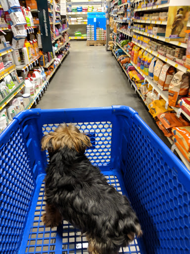 Pet Supply Store «PetSmart», reviews and photos, 10830 Olson Dr, Rancho Cordova, CA 95670, USA