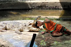 Samui Crocodile Farm image