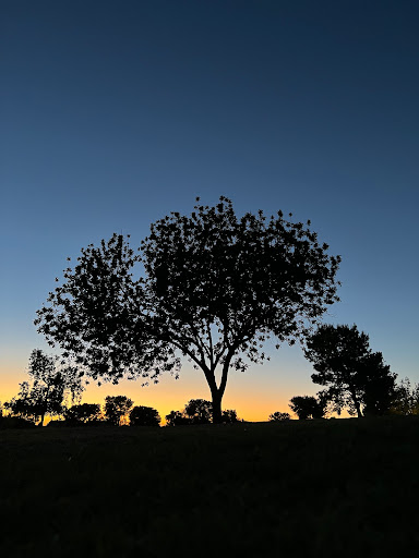 Park «Granada Park», reviews and photos, 6505 N 20th St, Phoenix, AZ 85016, USA