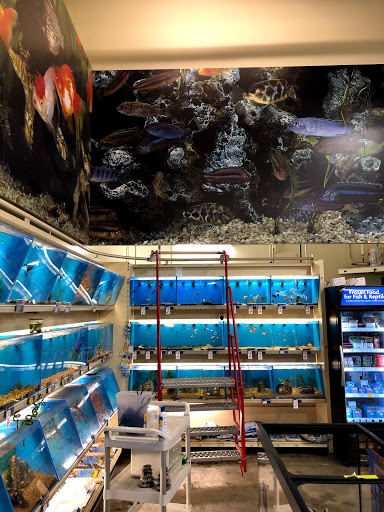 Pet Supply Store «PetSmart», reviews and photos, 525 Connecticut Ave, Norwalk, CT 06854, USA