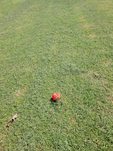 Golf Course «Coweta Club», reviews and photos, 300 Arbor Springs Pkwy, Newnan, GA 30265, USA