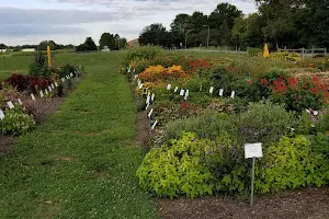University of Delaware Botanic Gardens image