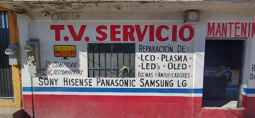 T.V. Servicio Electronico
