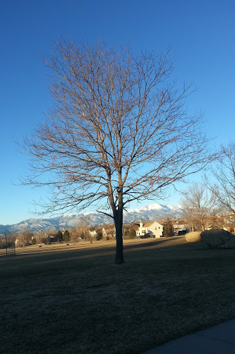 Park «Sandstone Park», reviews and photos, 4650 Pring Ranch Rd, Colorado Springs, CO 80922, USA