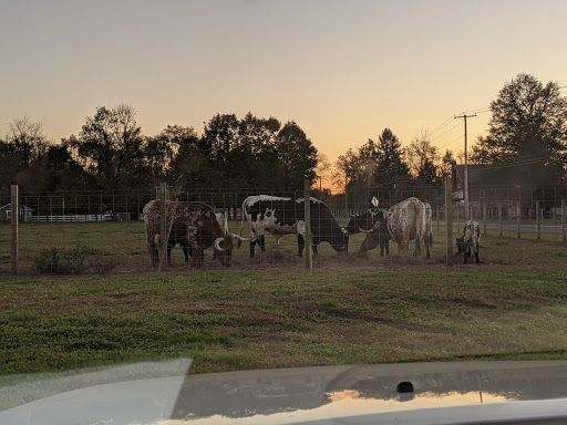 Butcher Shop «Bringhurst Meats», reviews and photos, 38 W Taunton Rd, Berlin, NJ 08009, USA