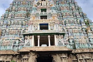 Srivilliputtur Arulmigu Andal Sametha Rangamannar Temple image