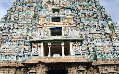 Srivilliputtur Arulmigu Andal Sametha Rangamannar Temple image