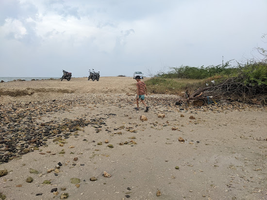 Hare island Beach