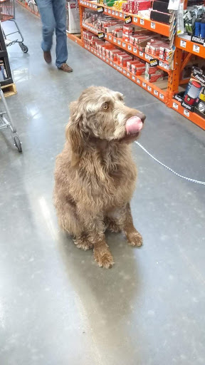 Home Improvement Store «The Home Depot», reviews and photos, 2303 US Hwy 27 S, Sebring, FL 33870, USA