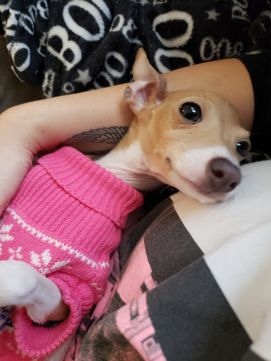 Pet Store «Fetch Pet Store», reviews and photos, 2700 Miamisburg Centerville Rd, Dayton, OH 45459, USA