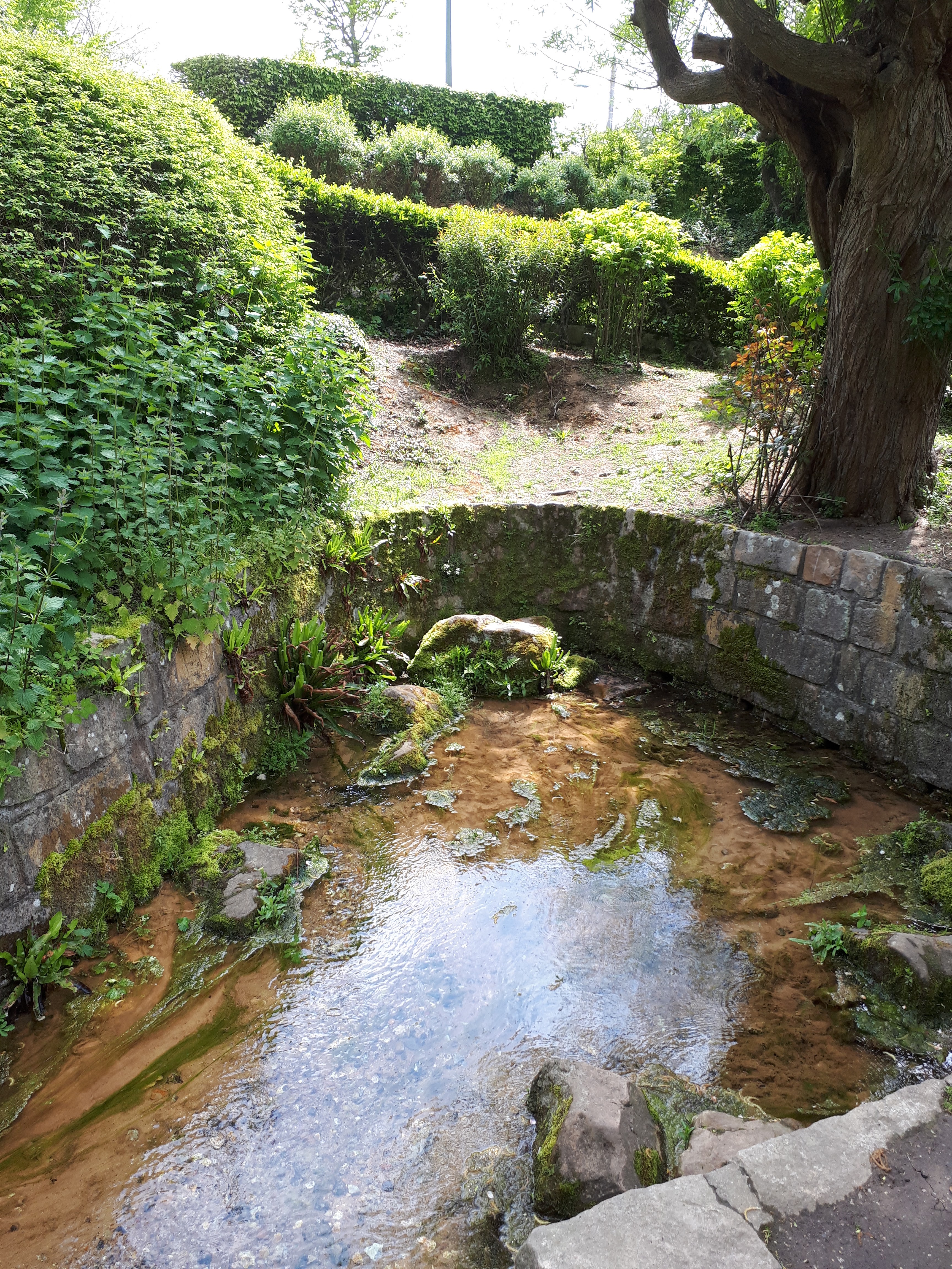 Photo n° 9 de l'avis de Didier.a fait le 11/05/2019 à 13:21
