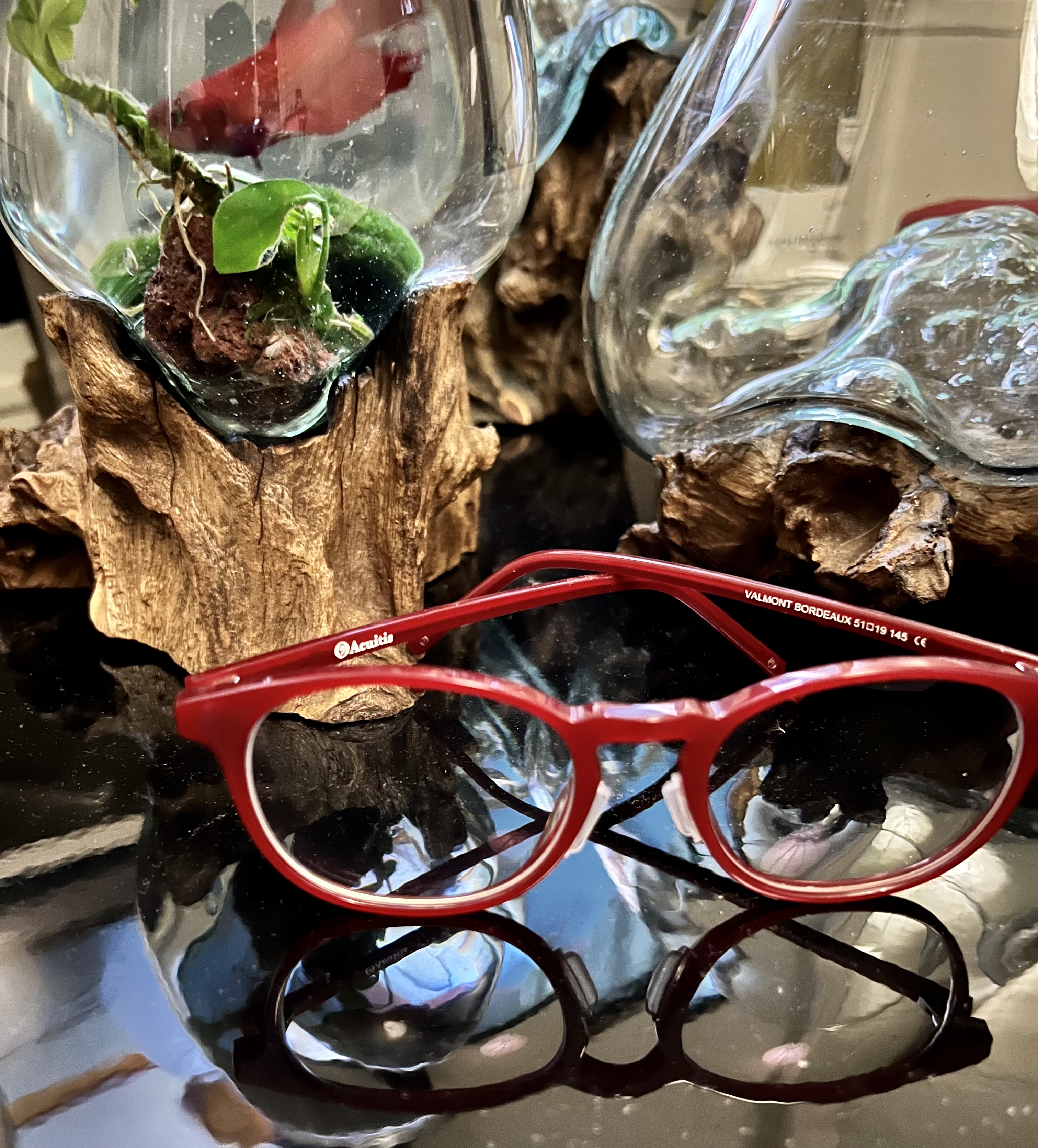 Photo n° 1 de l'avis de Denis.e fait le 15/09/2022 à 21:39