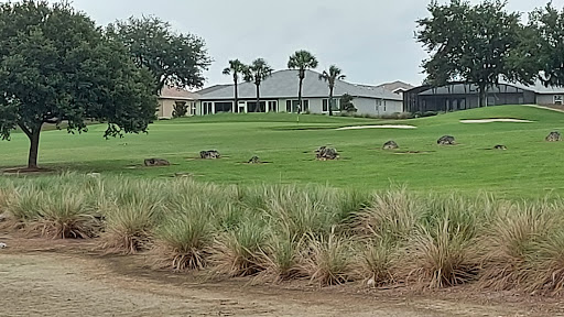 Golf Course «Candler Hills Golf Course», reviews and photos, 8137 SW 90th Terrace Rd, Ocala, FL 34481, USA