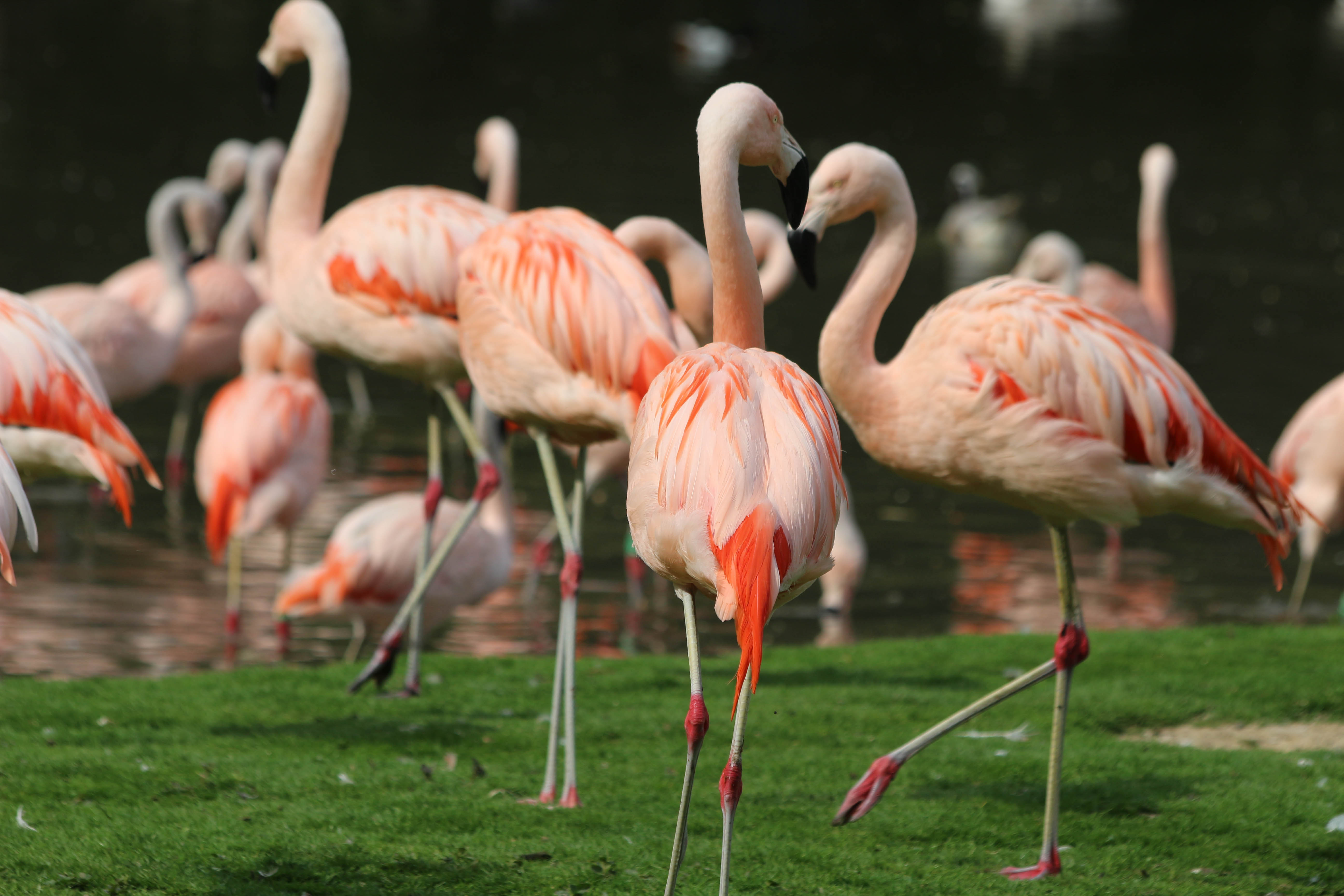 Photo n° 7 de l'avis de Laurent. fait le 05/08/2022 à 12:06