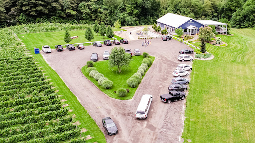 Winery «Gravity Vineyards and Winery», reviews and photos, 10220 Lauer Rd, Baroda, MI 49101, USA