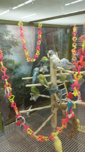 Pet Supply Store «Petco Animal Supplies», reviews and photos, 244 Pioneer Trail, Chaska, MN 55318, USA