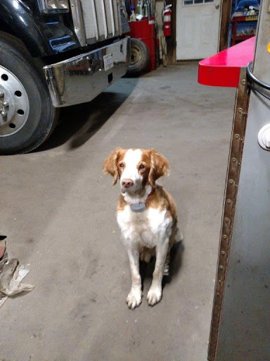 Auto Repair Shop «E & L Service, Inc.», reviews and photos, 920 Demille Rd, Lapeer, MI 48446, USA