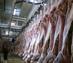Carnes la Laguna photo