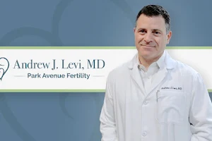 Dr. Andrew J. Levi, MD image