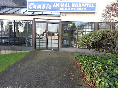 Vancouver South Animal Hospital