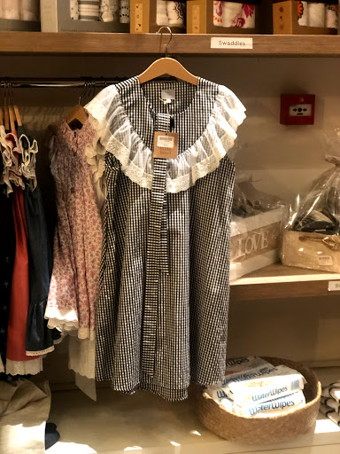 الأوز الصغير Little Goose 