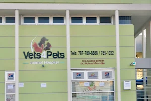 Vets4Pets Animal Hospital image