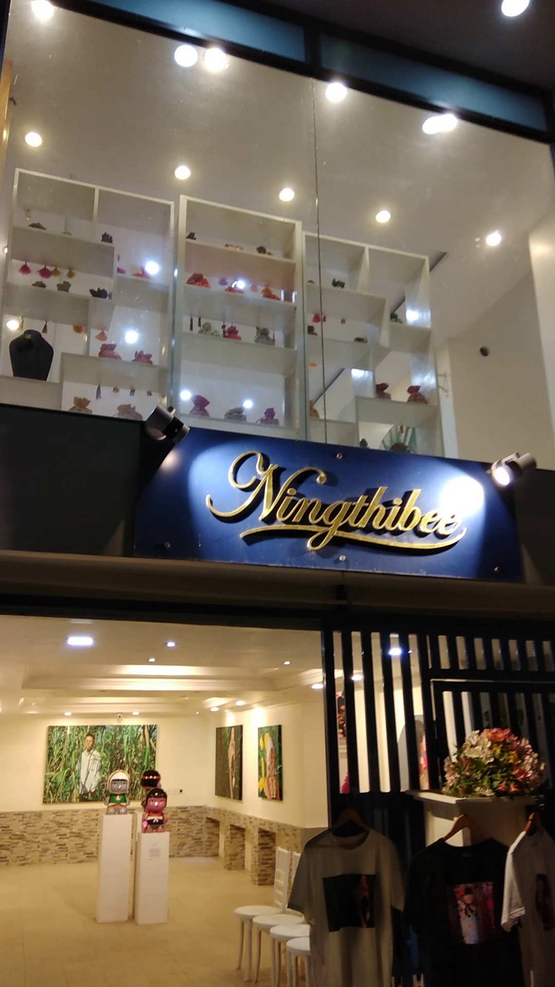 Ningthibee Collections