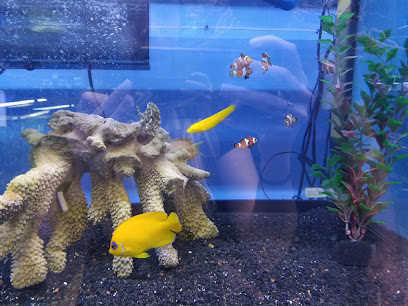 C-MACS Aquarium