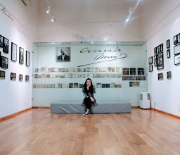 Casa Museo Amado Nervo photo