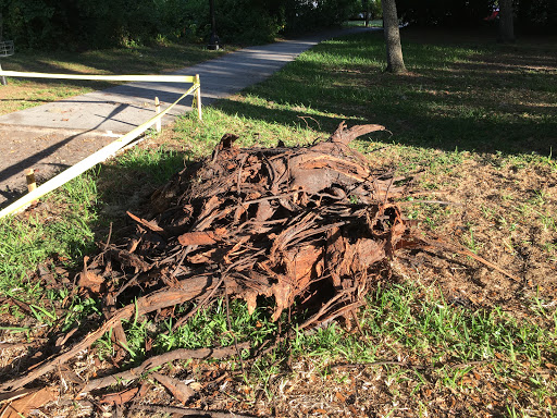 Park «North Water Tower Park», reviews and photos, 4700 Rilma Ave, Sarasota, FL 34234, USA