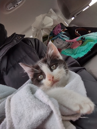 Department Store «Marshalls», reviews and photos, 150 W Foothill Blvd, Upland, CA 91786, USA