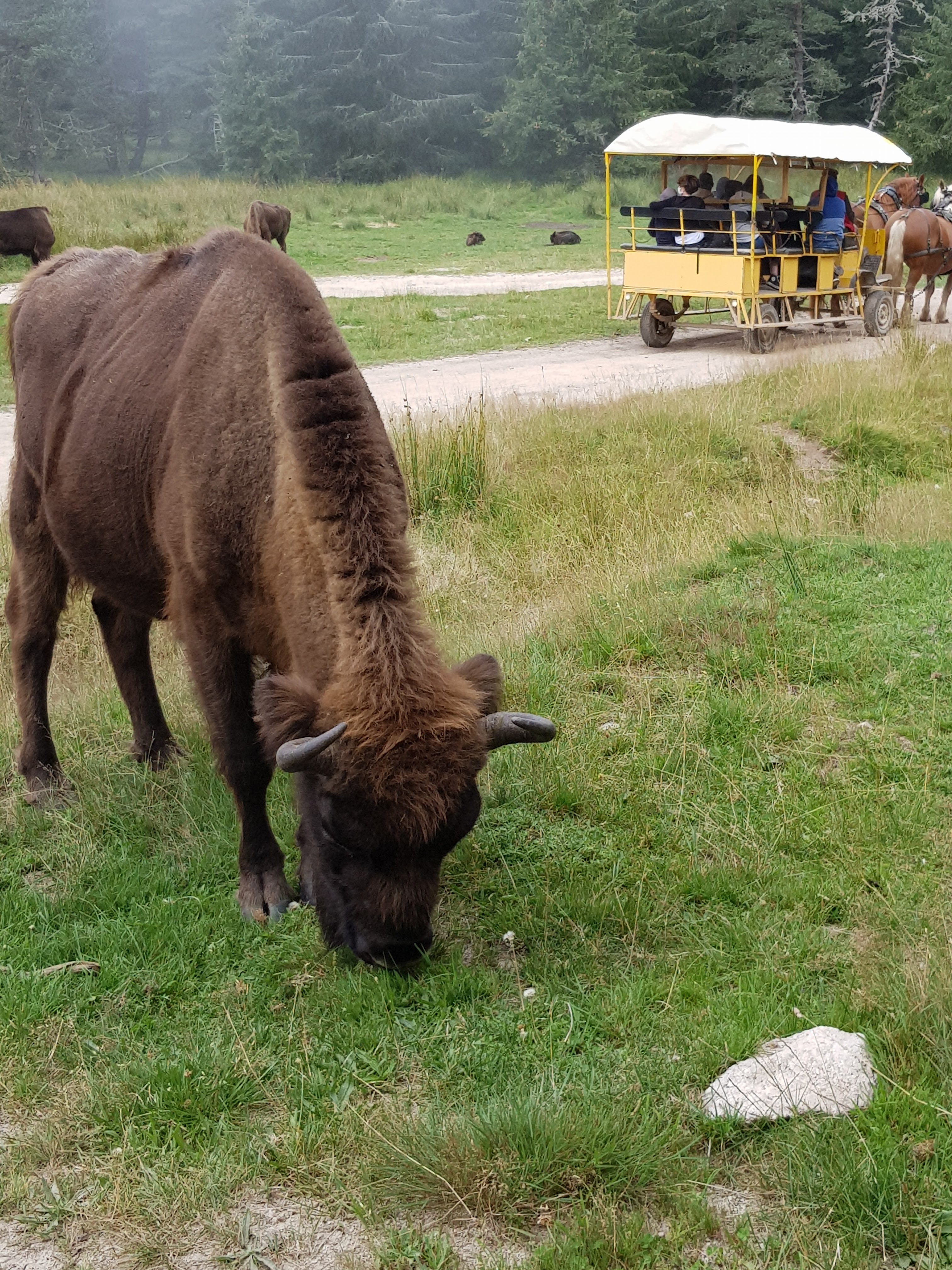 Photo n° 7 de l'avis de Nicolas.e fait le 19/08/2021 à 08:52
