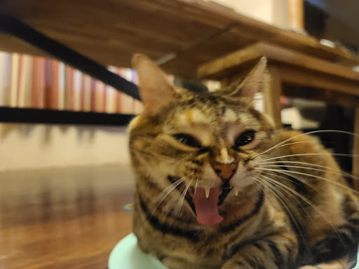 Pet Supply Store «PetSmart», reviews and photos, 207 S Truman Blvd, Crystal City, MO 63019, USA