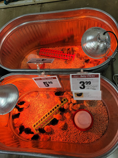 Department Store «Coastal Farm & Ranch», reviews and photos, 2112 S 1st St, Yakima, WA 98903, USA