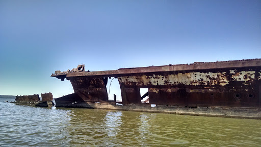 Tourist Attraction «Mallows Bay», reviews and photos, 1440 Wilson Landing Rd, Nanjemoy, MD 20662, USA